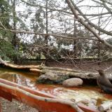 photo 2022-02-21 08-47-57