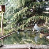 photo 2023-04-23 17-07-53