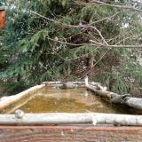 photo 2023-03-20 08-44-38