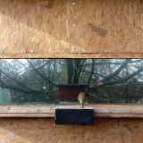 photo 2023-01-12 12-14-51