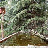 photo 2023-04-03 15-31-00