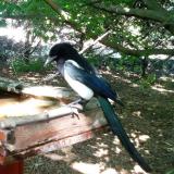 photo 2022-06-01 16-40-04 tarka