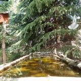 photo 2023-04-05 12-40-57