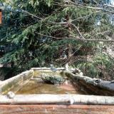 photo 2023-03-13 10-35-28