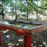 photo 2022-07-10 08-52-49