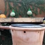 photo 2024-01-14 09-06-51