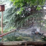 photo 2023-06-08 12-02-39