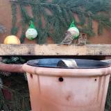 photo 2023-12-28 08-59-15