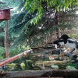 photo 2023-05-23 07-32-36