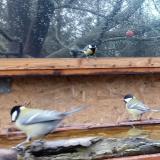 photo 2022-11-23 11-47-19