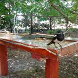 photo 2022-06-27 13-21-49