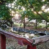 photo 2022-05-11 05-25-04