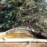 photo 2023-03-18 09-56-18