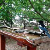 photo 2022-05-30 13-23-28