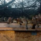 photo 2022-12-20 08-24-13