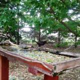 photo 2022-05-09 13-27-57