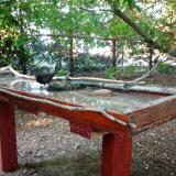 photo 2022-06-20 18-59-28