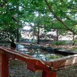 photo 2022-06-03 10-56-11