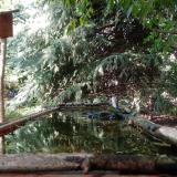 photo 2023-08-08 16-47-01