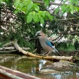 photo 2022-04-21 11-53-11 szajko