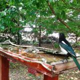 photo 2022-05-25 14-39-15