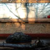 photo 2022-02-10 07-34-55