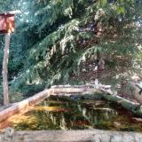 photo 2023-09-27 10-31-35