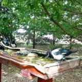 photo 2022-05-23 15-08-22