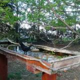 photo 2022-04-17 17-20-37