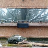 photo 2023-12-09 08-52-27