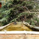 photo 2023-03-20 12-08-56