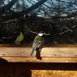 photo 2022-12-27 10-08-53