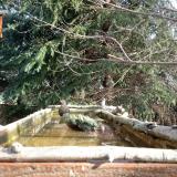 photo 2023-03-13 08-56-49