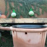 photo 2024-01-25 07-54-41