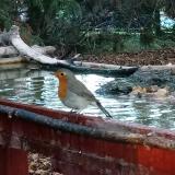 photo 2022-10-16 17-24-53