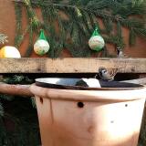 photo 2024-01-02 10-54-08