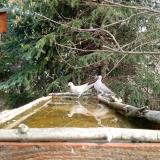 photo 2023-03-22 09-30-44