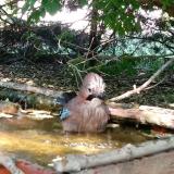 photo 2022-05-12 16-26-05 szajko