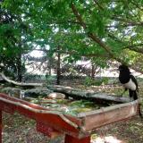 photo 2022-05-23 11-05-31