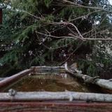 photo 2023-03-18 17-59-45