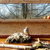 photo 2022-02-10 13-14-37