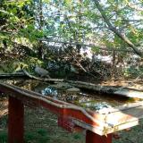 photo 2022-04-12 17-44-51