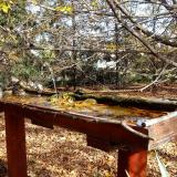 photo 2022-10-23 13-14-27