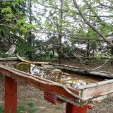 photo 2022-04-11 13-36-26