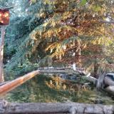 photo 2023-09-28 07-04-58