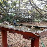 photo 2022-10-21 16-15-12