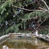 photo 2023-03-22 15-56-34