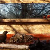 photo 2022-02-03 09-48-04