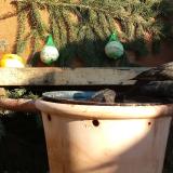 photo 2024-01-11 13-16-40