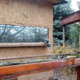 photo 2022-11-28 11-10-30